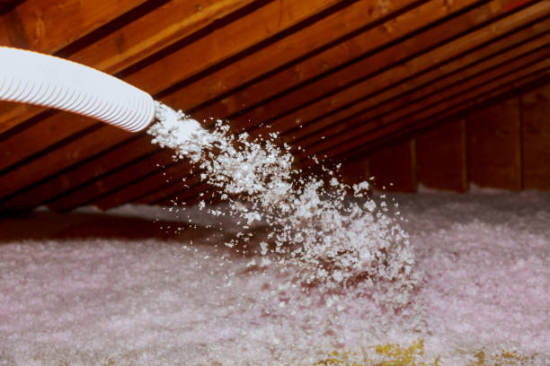 Best Types of Insulation in Graceville, FL